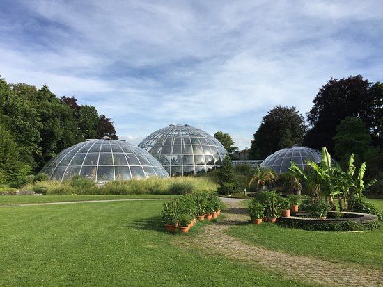 Jardín Botánico de Zúrich